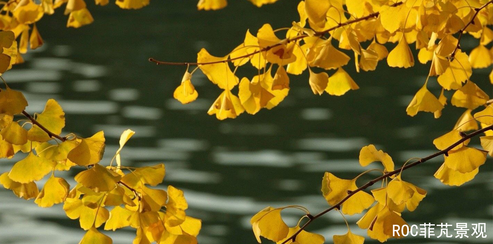 菲芃景观 ▏二十四节气•立冬